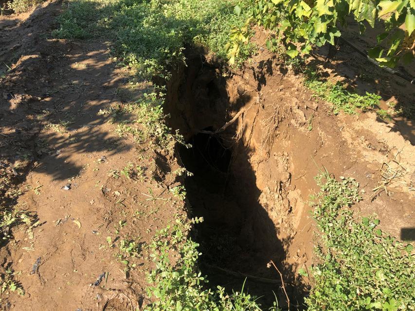  ( Mehmet Akif Sarıhan - Anadolu Ajansı )