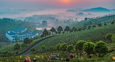 Uluslararası Fotoğraf Yarışması'nda kazananlar belli oldu