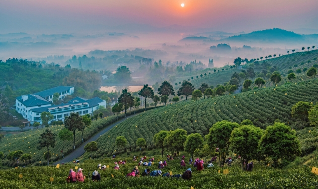 Uluslararası Fotoğraf Yarışması'nda kazananlar belli oldu