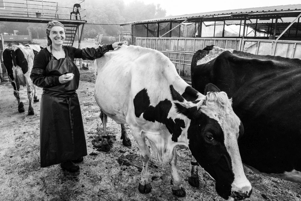 Bu serginin geliri Türk Eğitim Vakfı’na kalacak