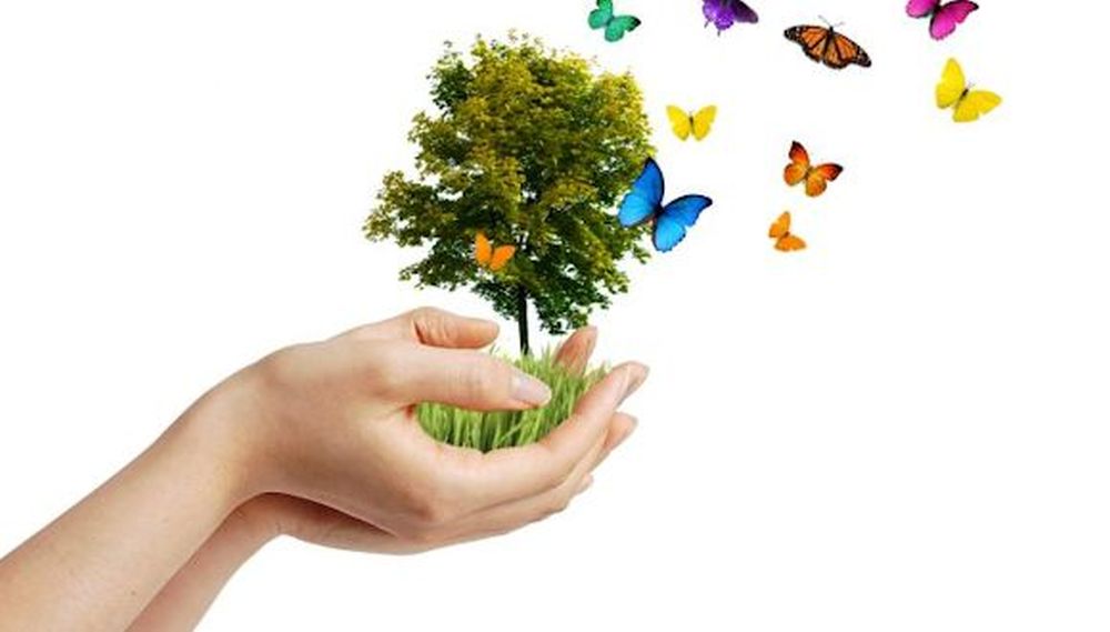 Bergama'da Dünya Çevre Günü