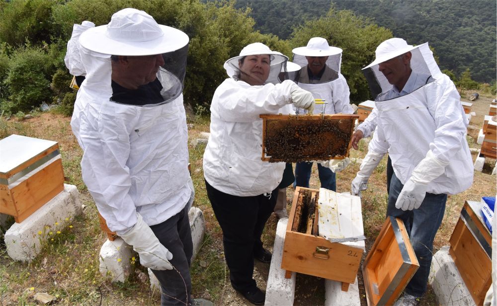 Bornova Belediyesi’nden Arıcılığa Destek