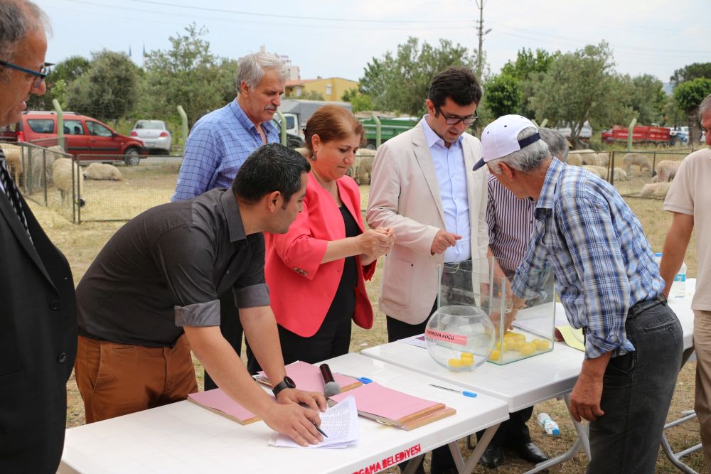 Sürüsüne bereket!