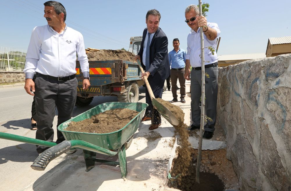 Buca’da yeşil uyanış    Binlerce ağaç yükselecek