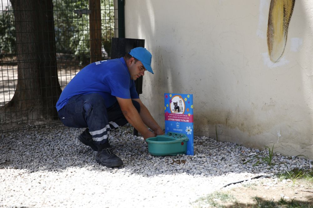 Can dostlar sıcakta susuz kalmıyor