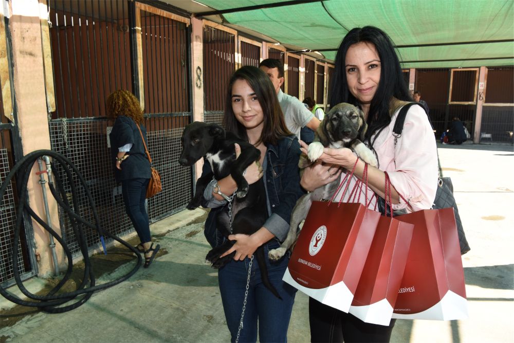 Bornova Belediyesi sokak hayvanlarına verilen hizmetlerde birinci