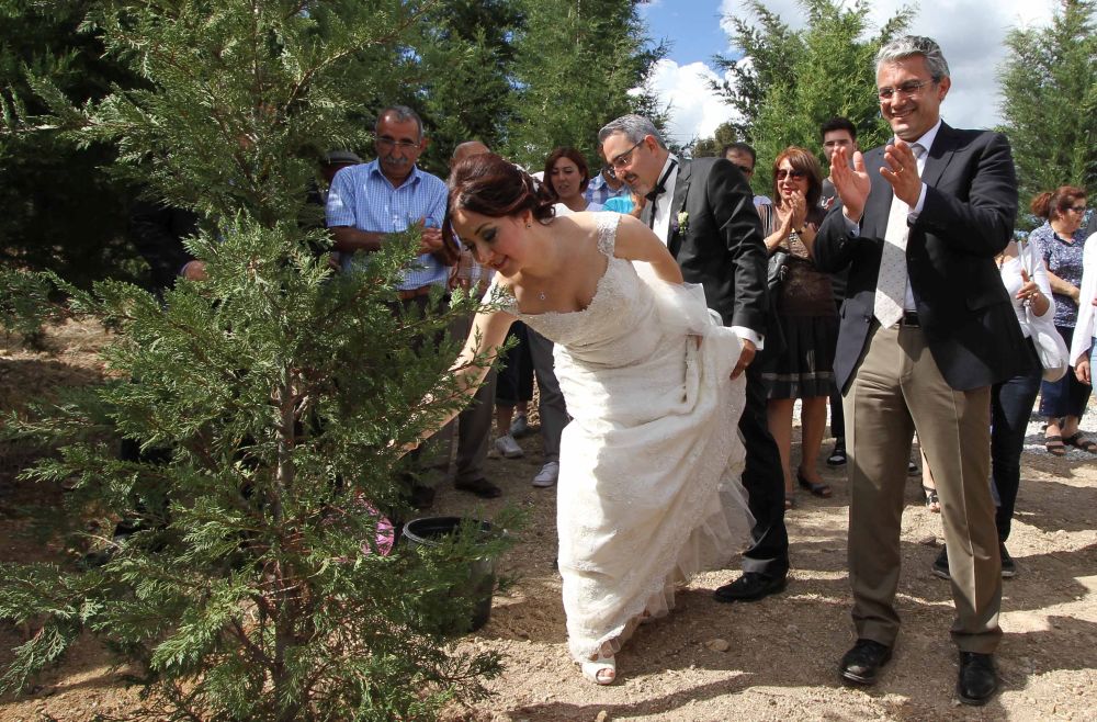 Karşıyaka’ya yeşil örtü
