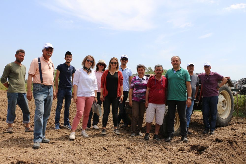 Urla’da Kuşkonmaz dikimine başlandı
