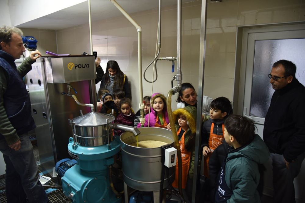 Toprak ve Çocuk Programı’ndan ilkokul öğrencilerine zeytin hasadı etkinliği
