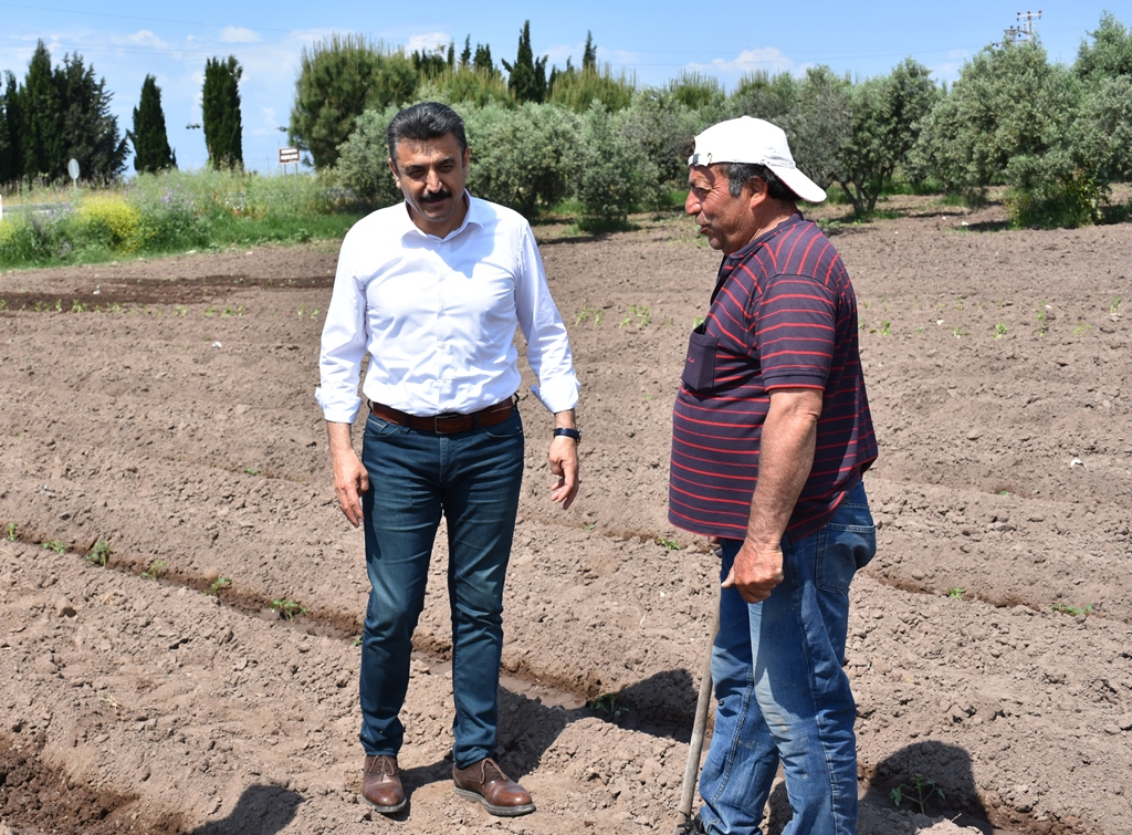 Başkan Kırgöz tarlaya girdi, üreticinin derdini dinledi