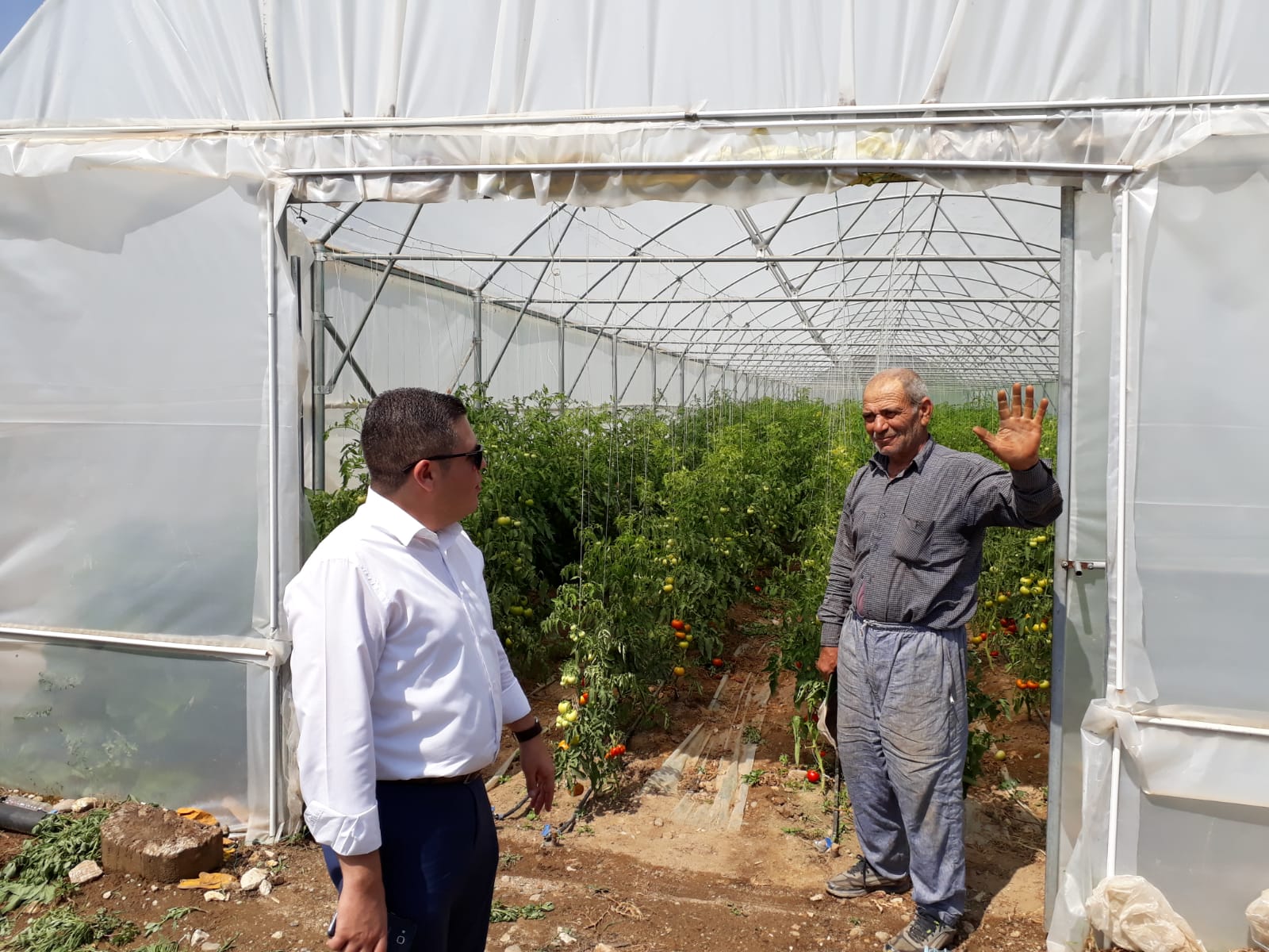 Manisa Büyükşehir'in seraları üreticinin yüzünü güldürüyor