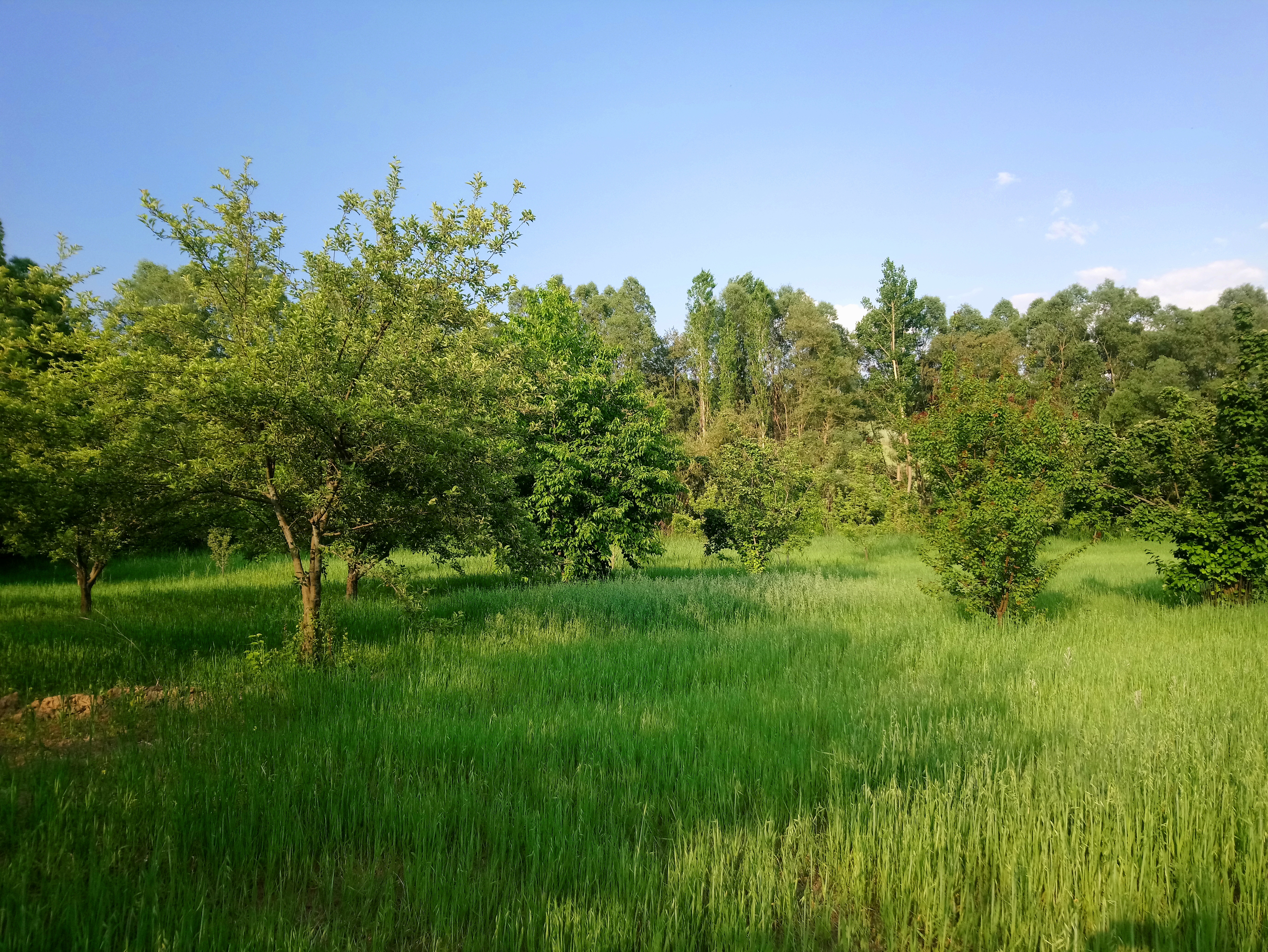Ali Ekber Yıldırım uyardı: Tamamen dışa bağımlı konuma geleceğiz
