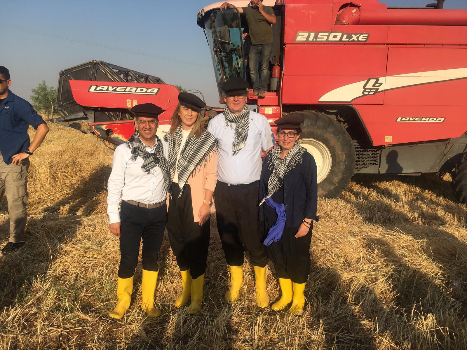 Ak Partili Bölünmez Çankırı puşu taktı, biçerdöverde hasat yaptı