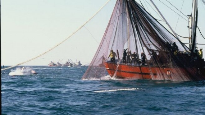 İZTO'dan kaçak avlanmaya '2 yıl nadas' önerisi