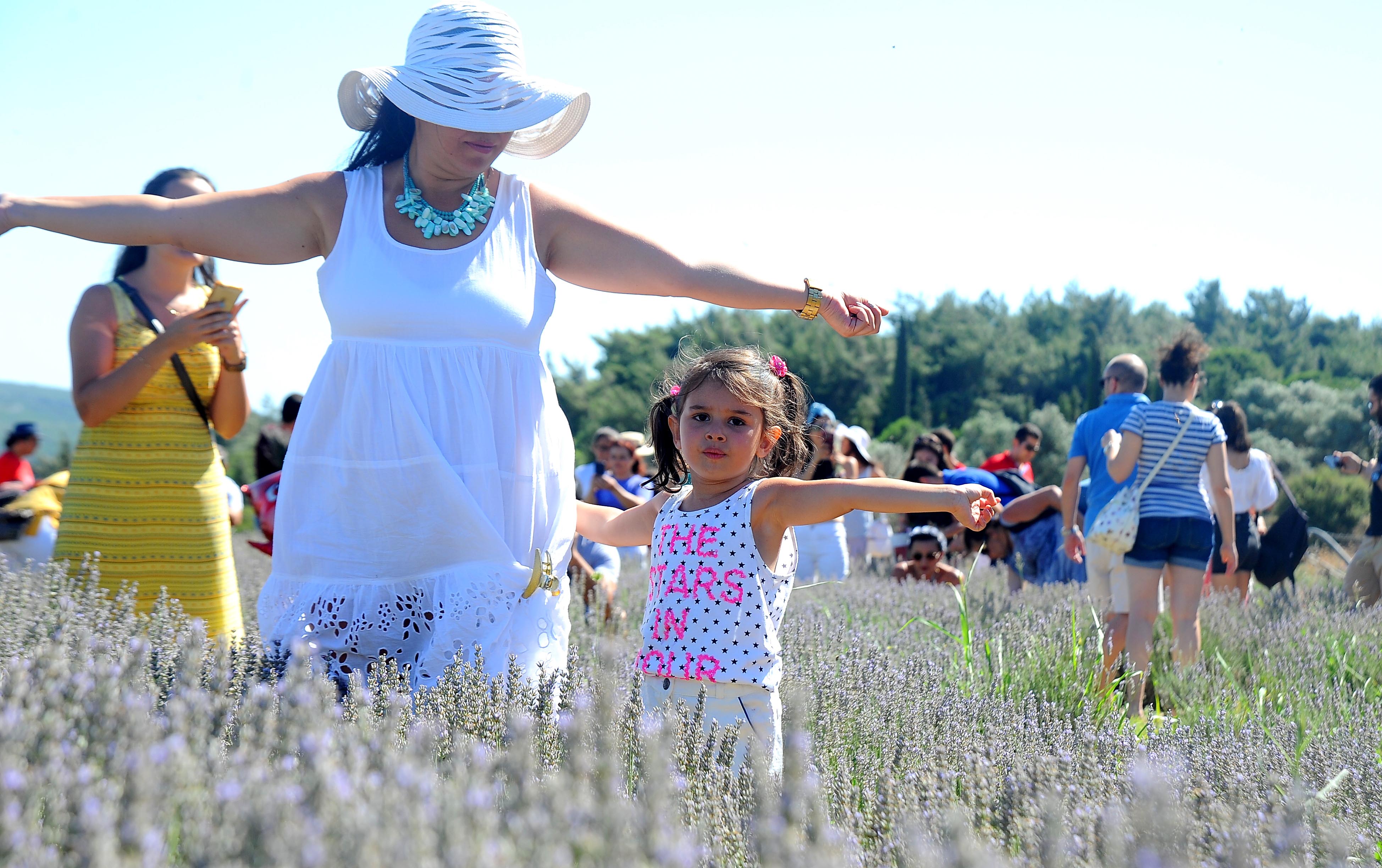 Seferihisar'da lavanta şenliği
