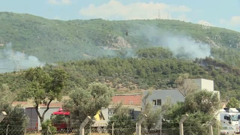 Ege'nin ormanlarında büyük tehlike. Yağmurlarla geldi