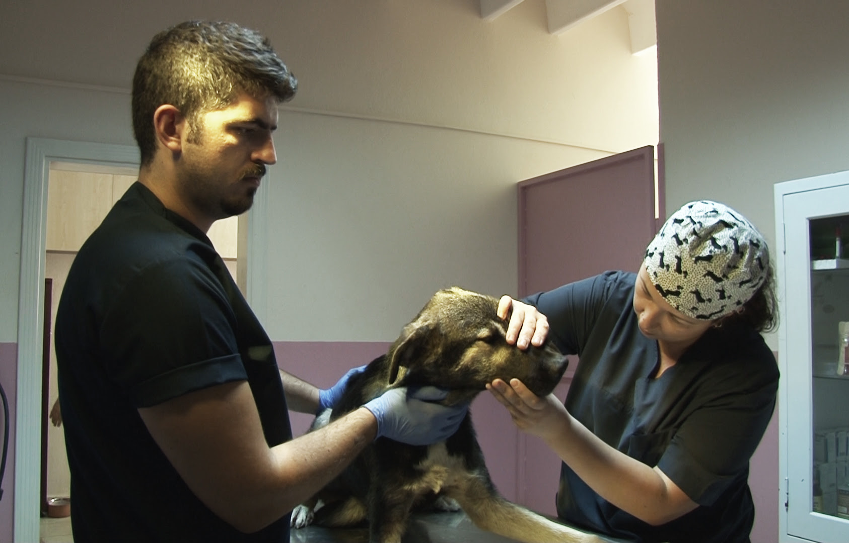 Can dostların sağlığı Narlıdere Belediyesi’ne emanet!