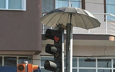İzmir'de şaşırtan görüntü! Kumruları korumak için trafik ışığına şemsiye