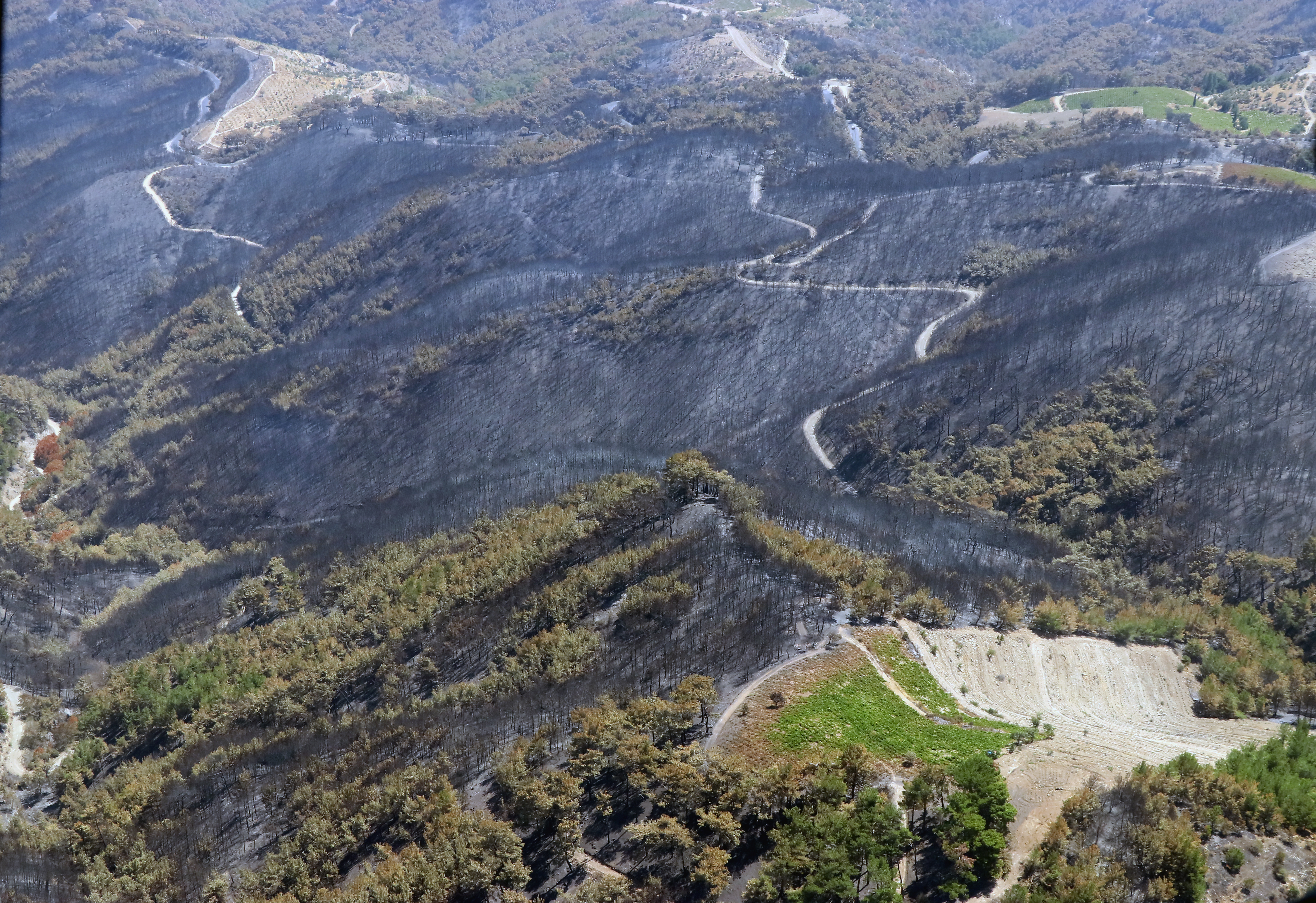 İzmir'deki orman yangınını PKK üstlendi