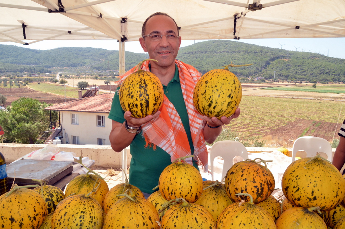 Urla, hem kavuna hem eğlenceye doydu