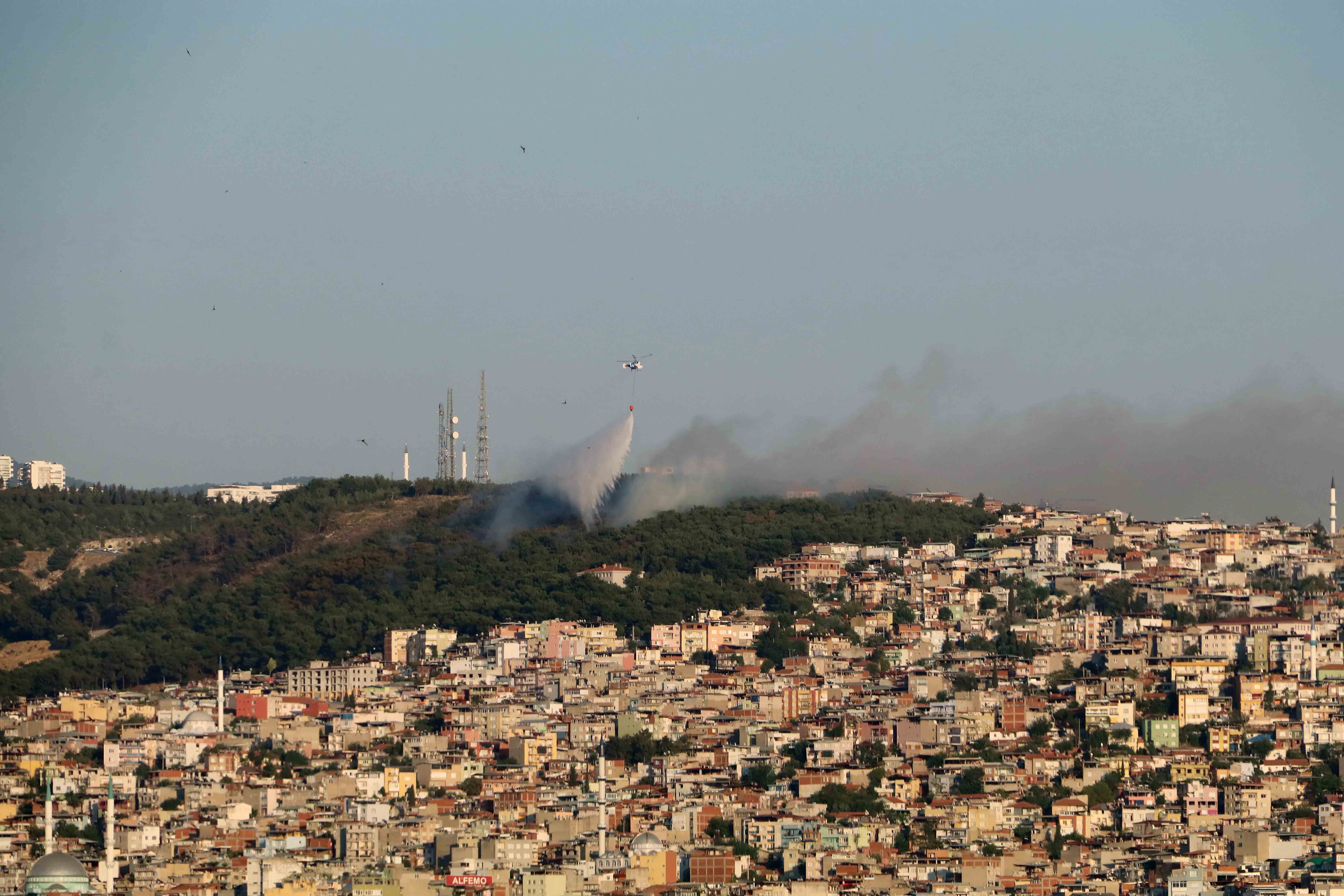 İzmir iş dünyasından ortak 'doğaya destek ol' kampanyası