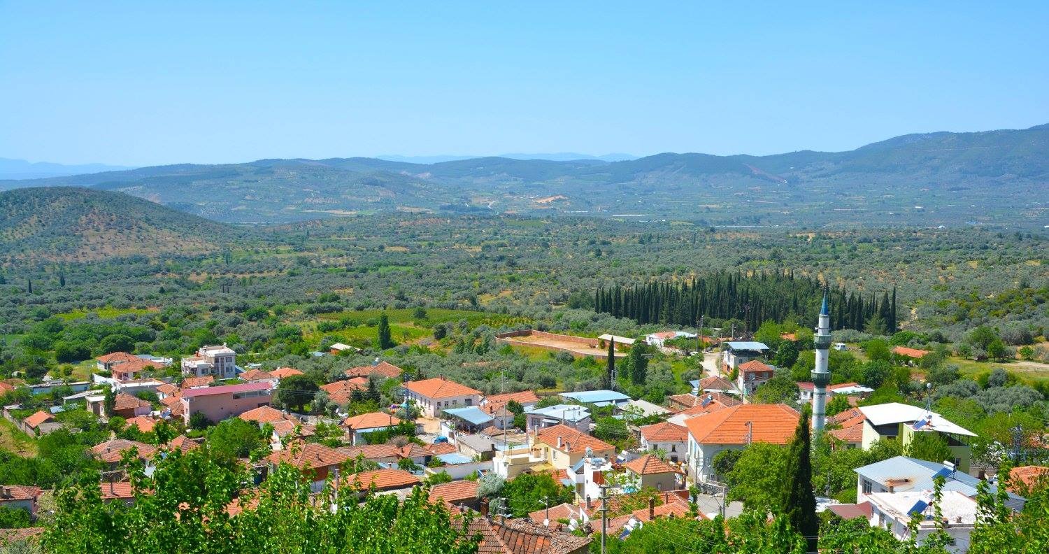 Torbalı'da şimdi de Börülce festivali... Başkan Uygur 
