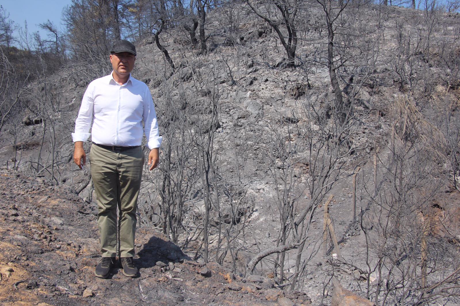 CHP'li Murat Bakan: THK inadının sebebi uçuş garantisi mi?