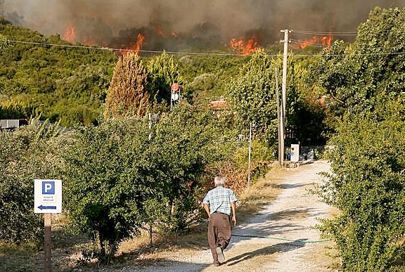 CHP'li Serter, Bakan Pakdemirli’yi hedef aldı: 