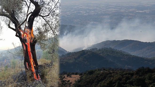 İzmir yangınında son durum: Kısmen kontrol altına alındı