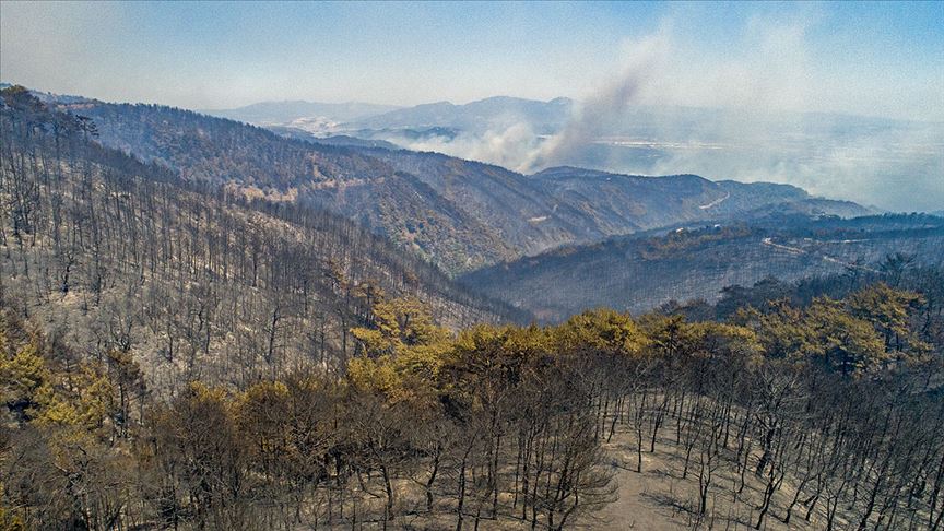 'Hedef 1 Milyon Fidan'