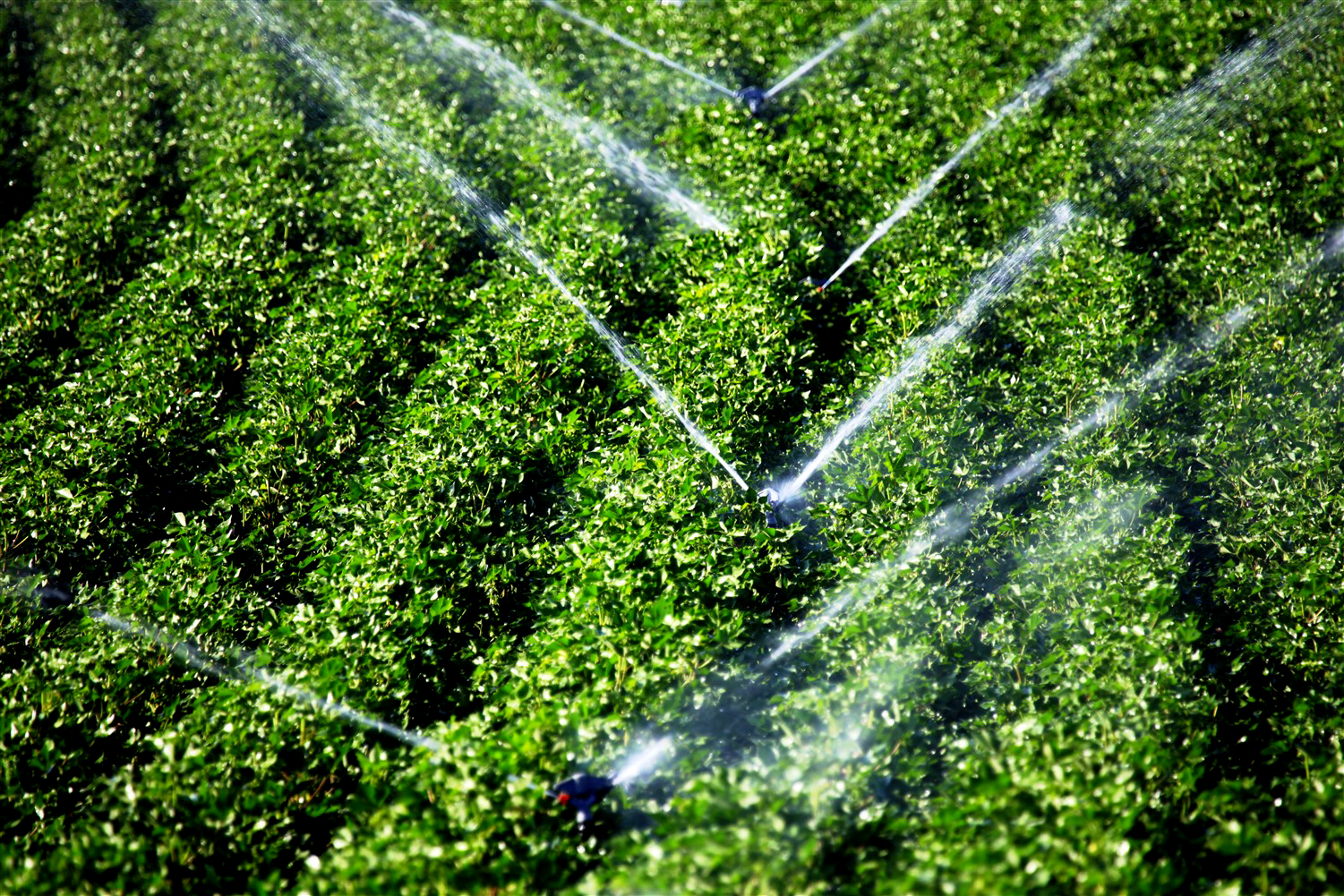 Ege’nin sularına ''Online Ölçüm Sistemi''