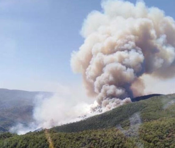 Muğla'da orman yangını! Dumanlar gökyüzünü kapladı