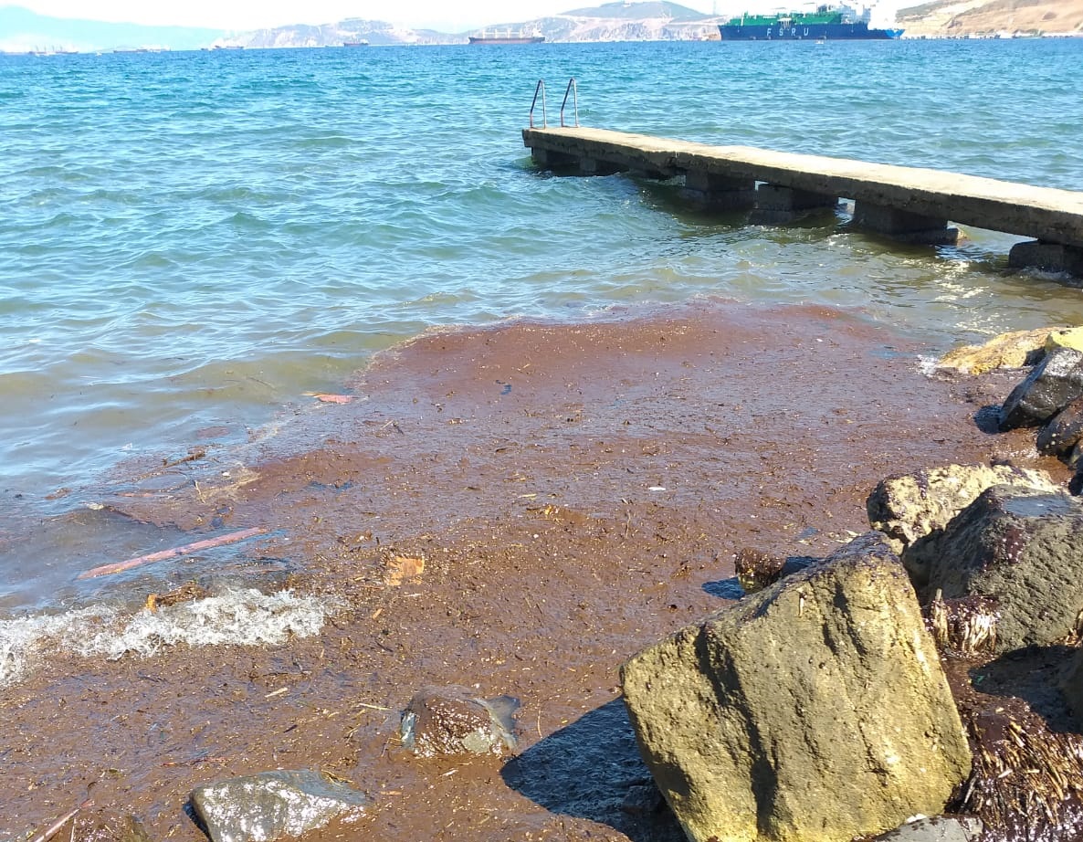 Mahir Polat'tan ''Fuel oil'' çıkışı