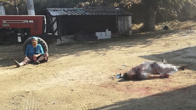 Aydın'da baba-oğul tartışması kanlı bitti. Bir annenin yıkıldığı an...