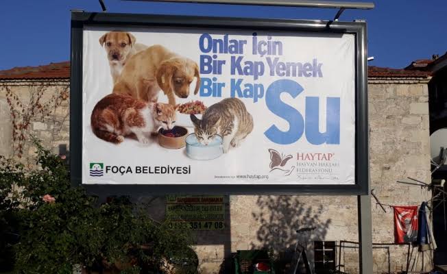 Foça Belediye'sinden o iddialara yalanlama. 