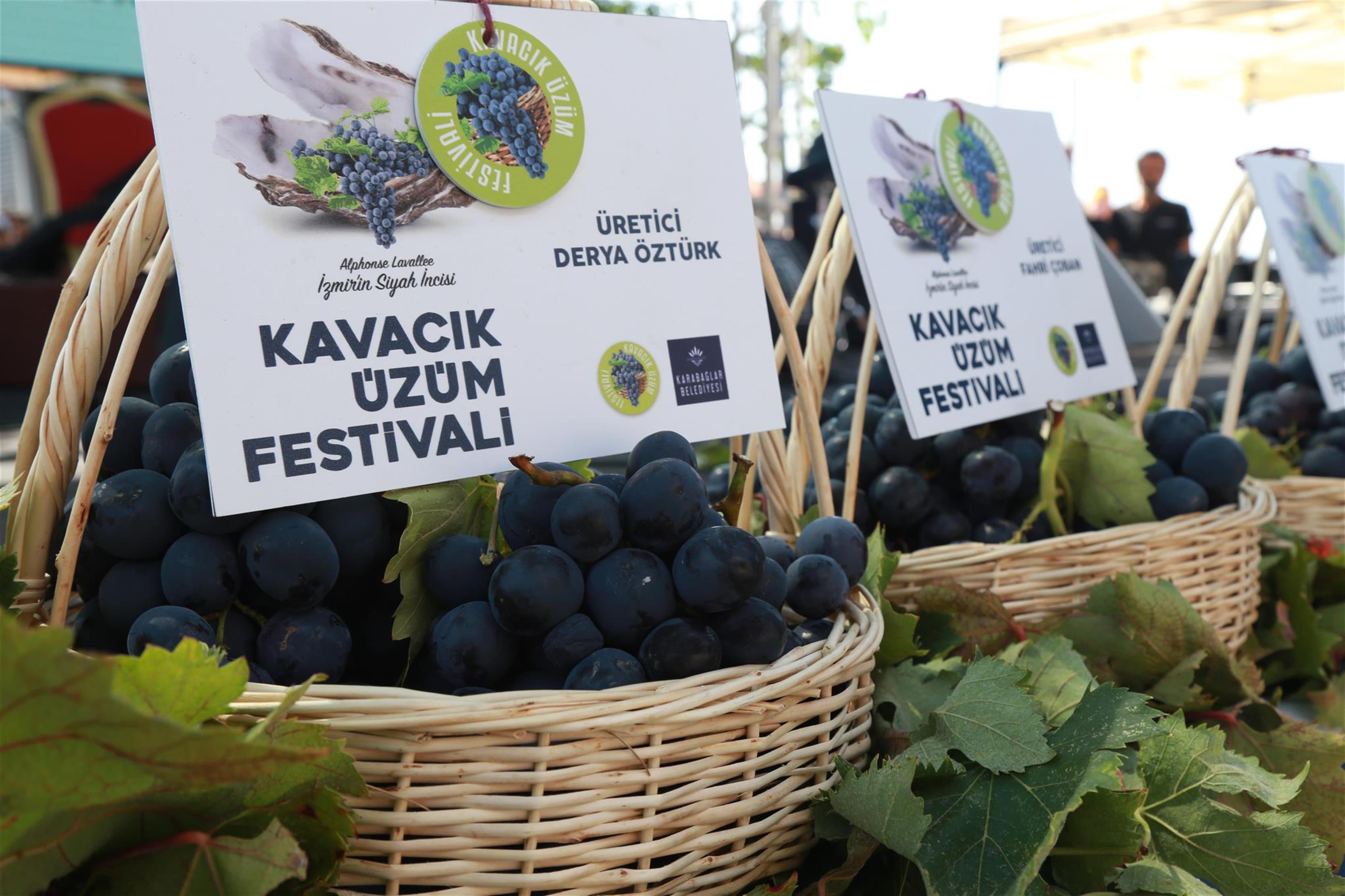 Kavacık, Üzüm Festivali'ne hazır