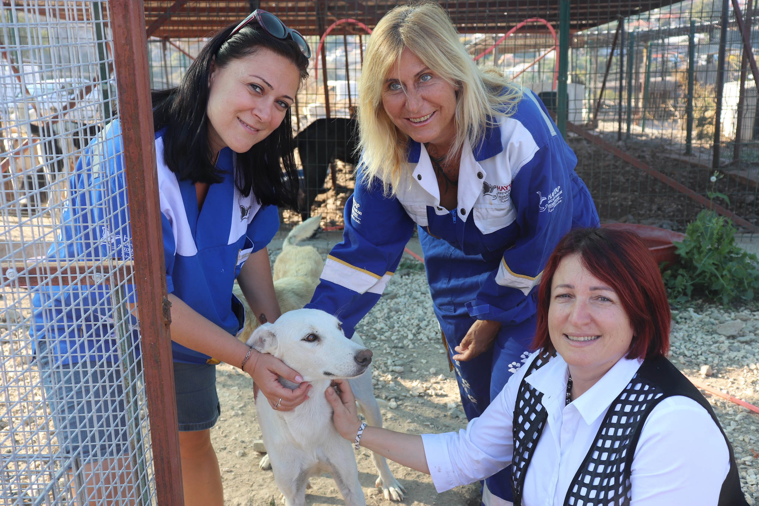 Karaburun’da örnek karar: Artık havai fişek yok!