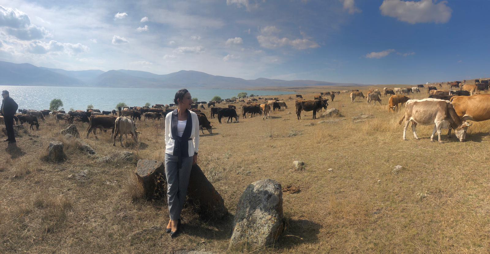 Gönül Dağı Projesi: ''Ardahanlı çocuklar Efes'e geliyor!''