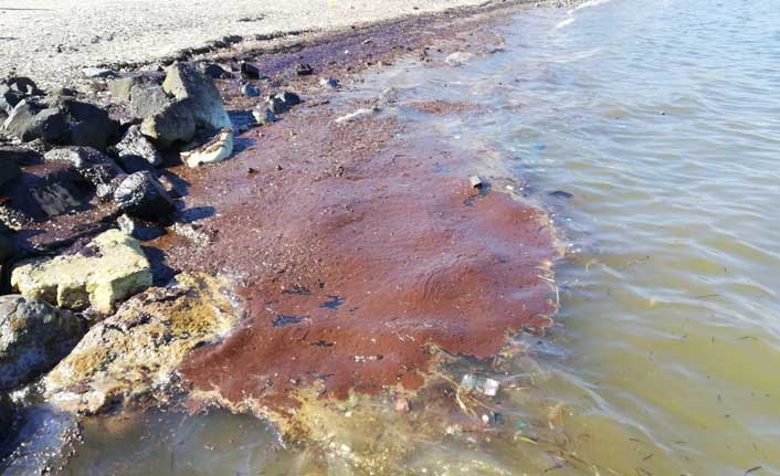 Foça'da denizi kirleten firmaya 144 bin lira ceza