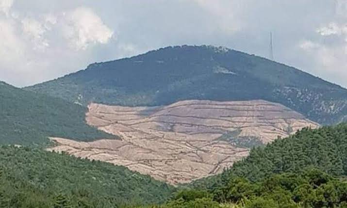 Kazdağları'ndan güzel haber