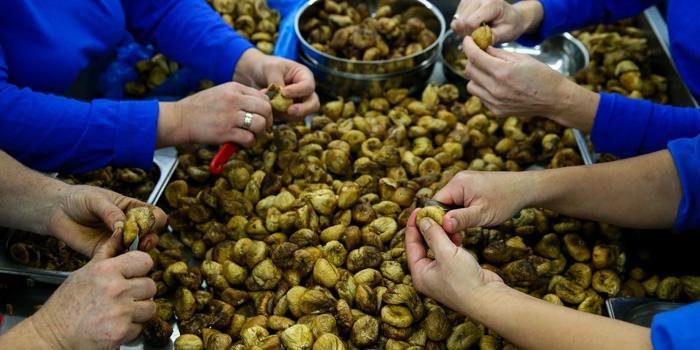 İncir fiyatları dibi gördü