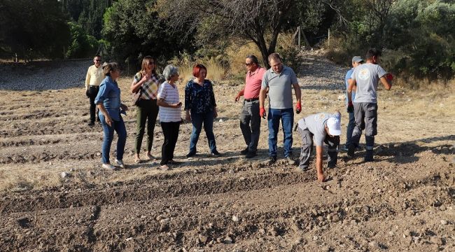 Karaburun'da 'yerli tarım' dönemi