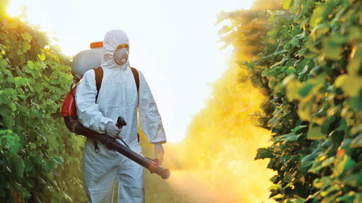 CHP'li Bakan 95 STK'nın talebinin meclise taşıdı: 'Tüm canlılar için zehirsiz sofralar'