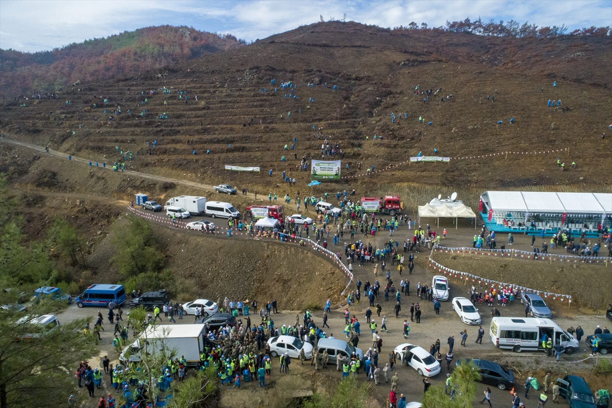 İzmir'de rekor ağaçlandırma: Tam 1 milyon fidan
