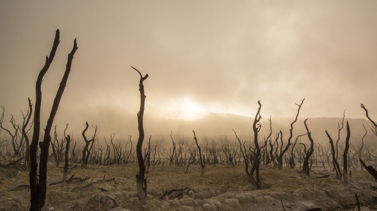 Birleşmiş Milletler'den iklim değişikliği uyarısı: Yıkıcı olacak