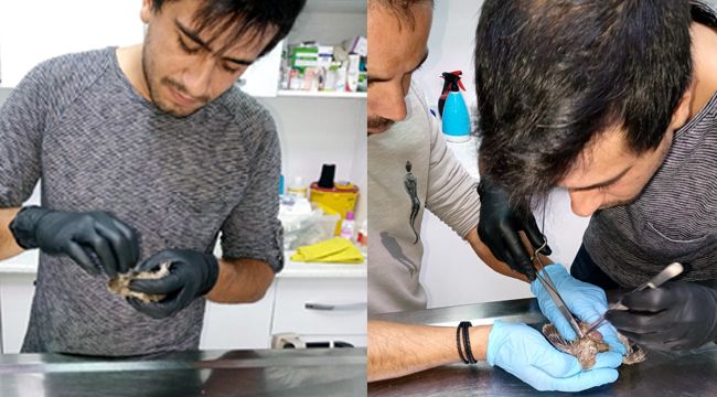 Menderes'te 'Yaralı Kumru' operasyonu