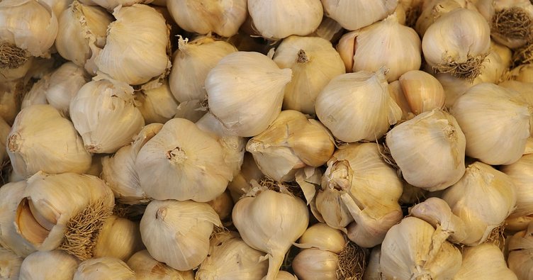 Fiyatı 9 kat arttı, tane ile satılıyor