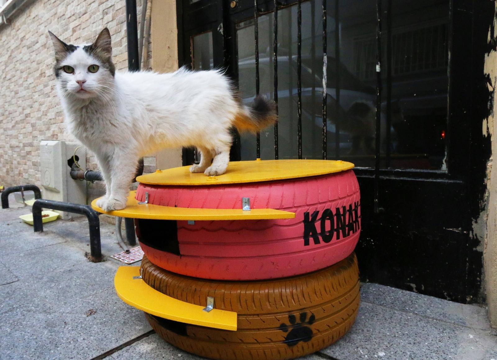 Konak Belediyesi'nden can dostlara yuva