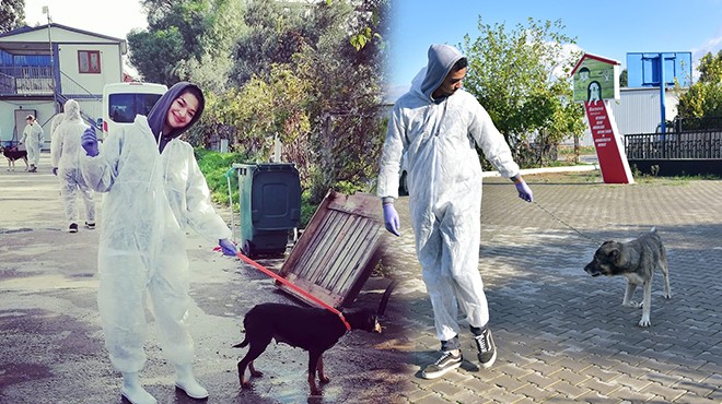 Bornova'da can dostlar için gönüllü seferberlik