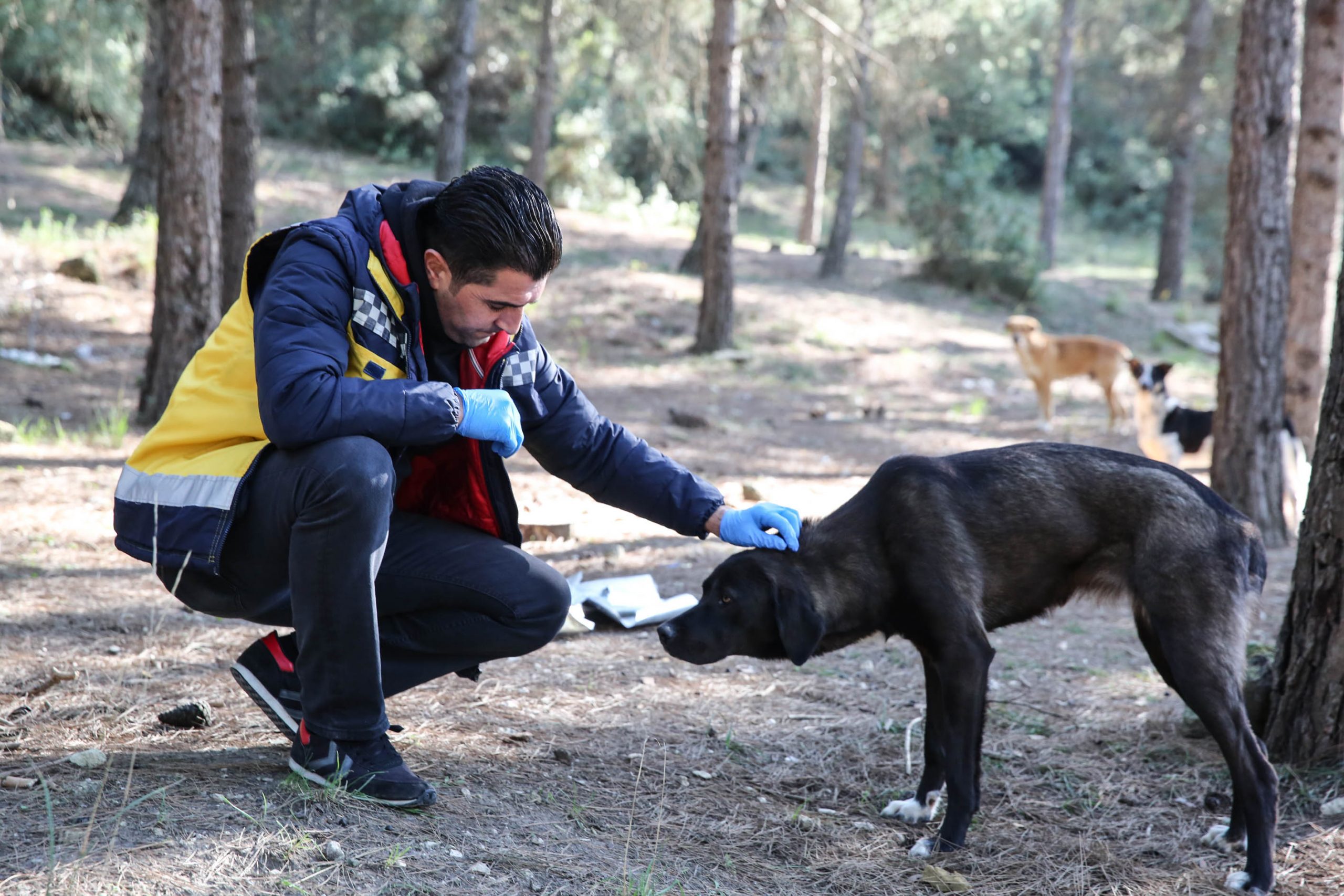 Buca’da uyuza karşı mücadele tam gaz